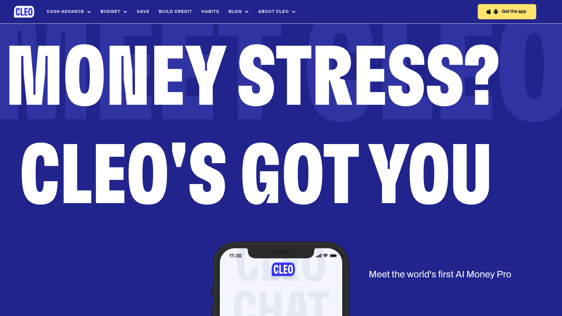 Cleo AI website screenshot